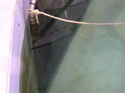 The Tank05-corral to elevator